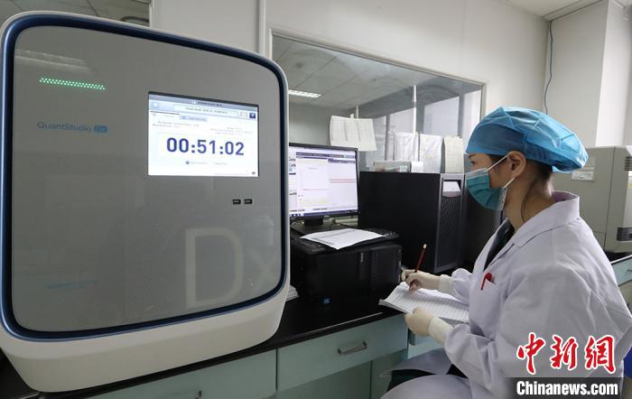 把反应体系放到荧光定量PCR仪中，一个半到两小时得到检测结果，根据结果判断样品中是否含有新型冠状病毒核酸。　冯家清 张梦园　摄